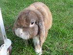 Und hier Oskar